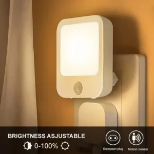Night Light Motion Sensor With LED Light